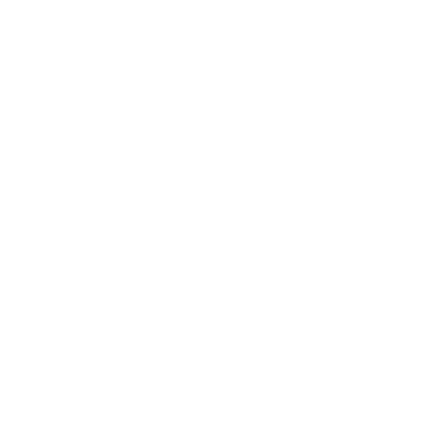 Elephant_King-21