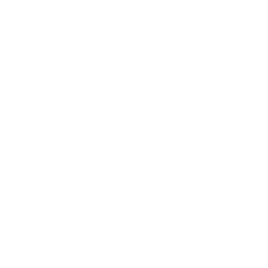 Stenographer Logo