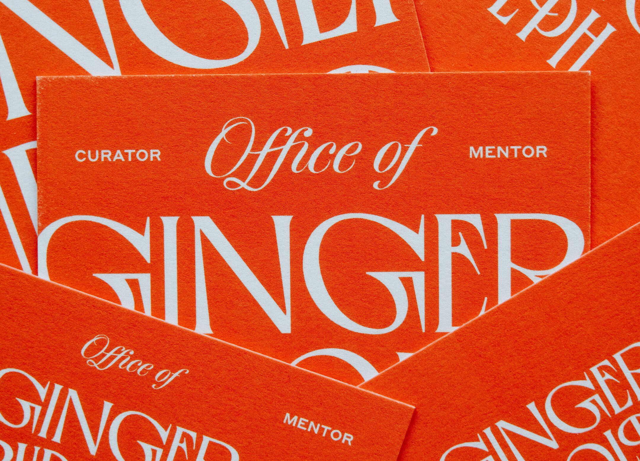 Ginger_Cropped