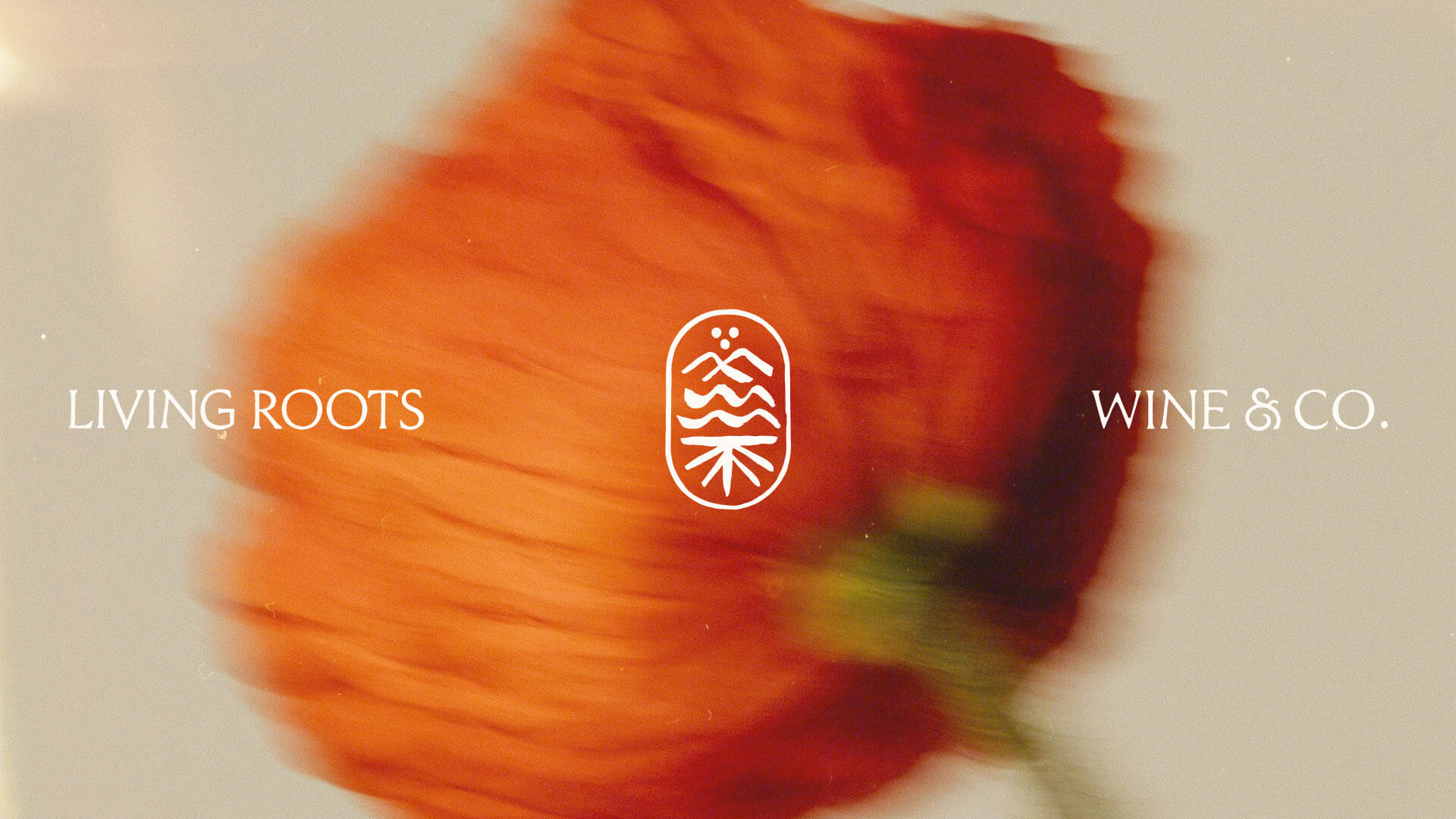 Living_Roots_Case_Study_Cover_SML