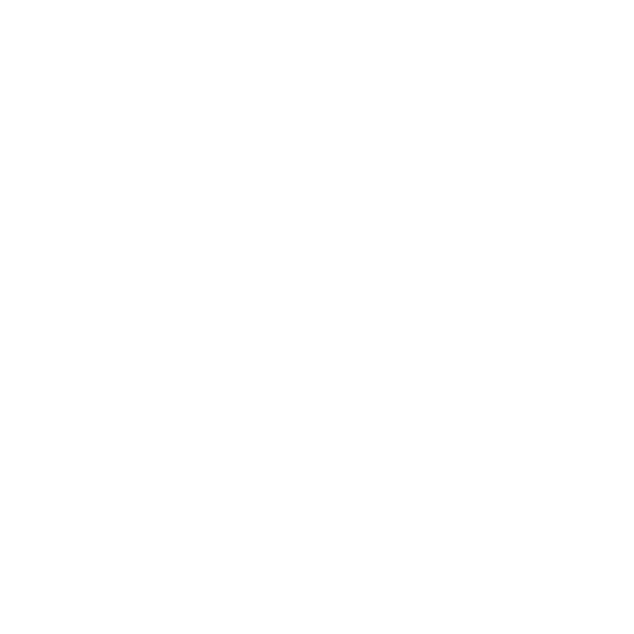 Paradigm_Logo