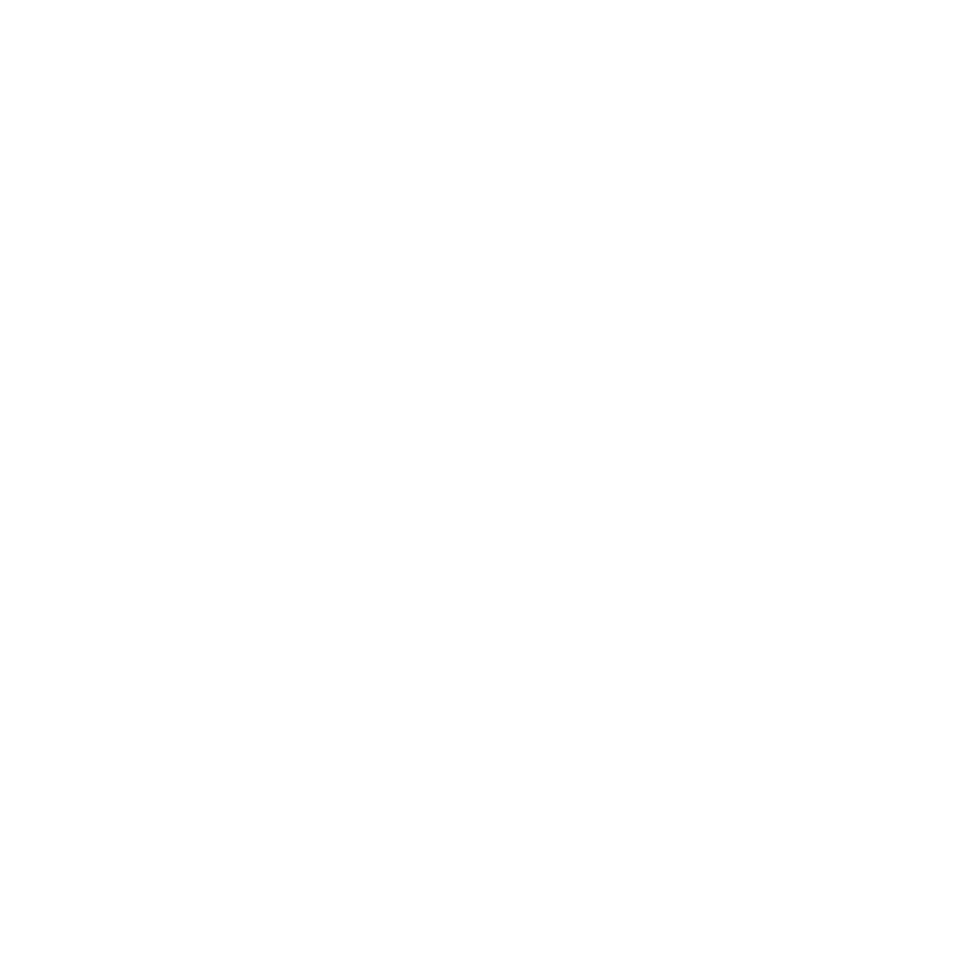 Vidal_Logo